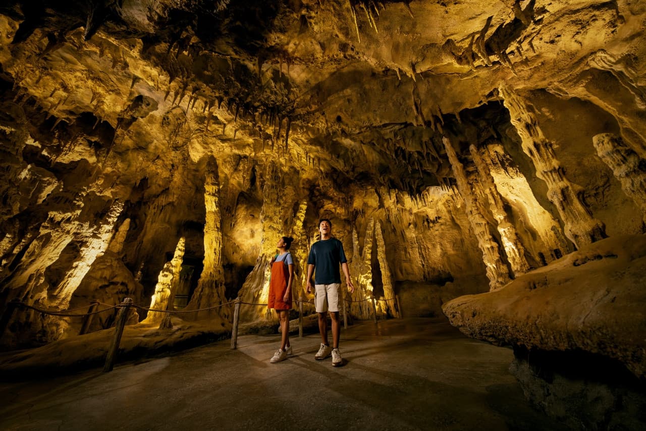 5-in-1 Day Pass: Night Safari + Singapore Zoo + Bird Paradise + River Wonders + Rainforest Adventure - image 14