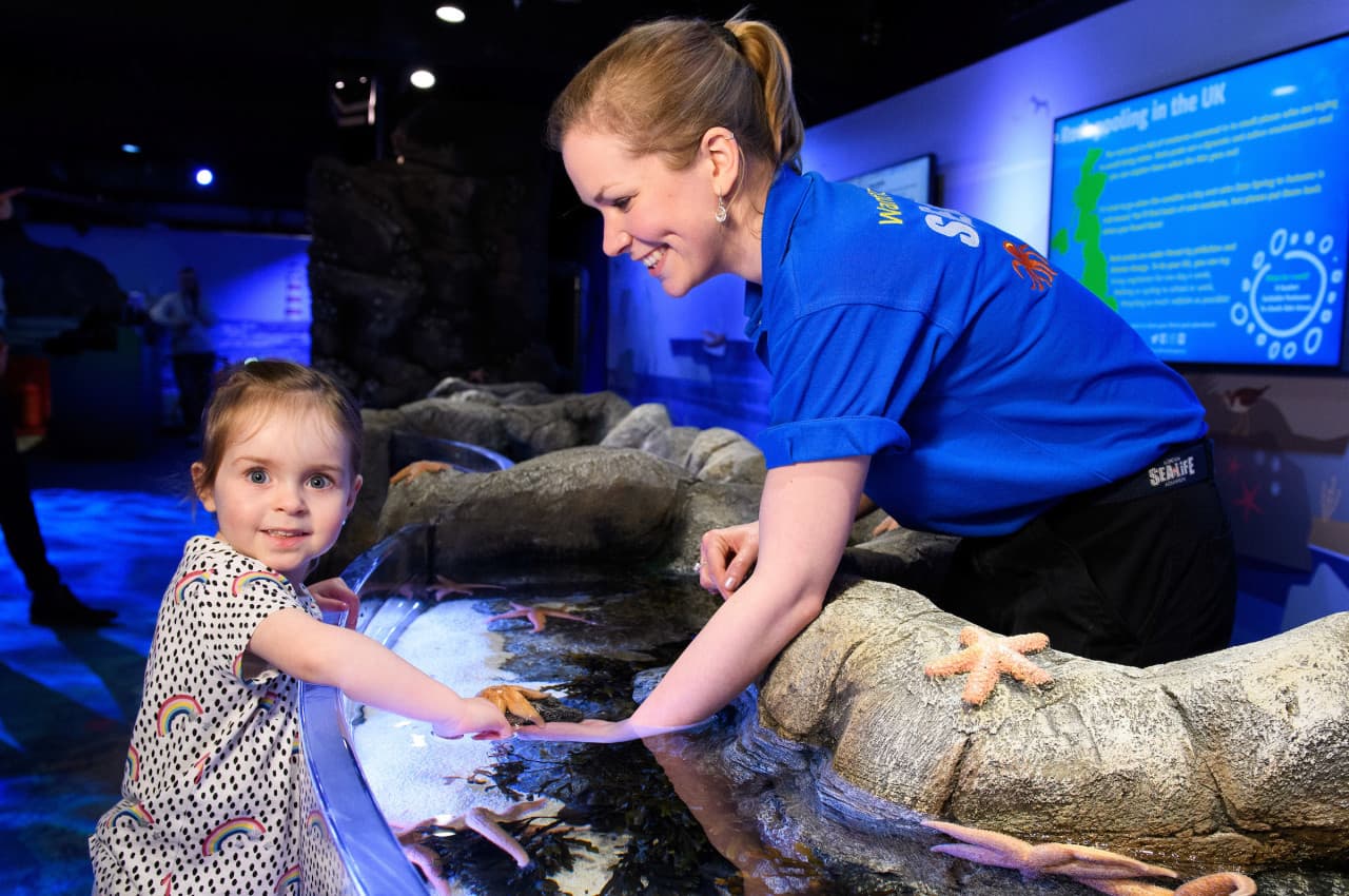 COMBO: SEA LIFE London Aquarium + FREE Hubby eSim - image 7