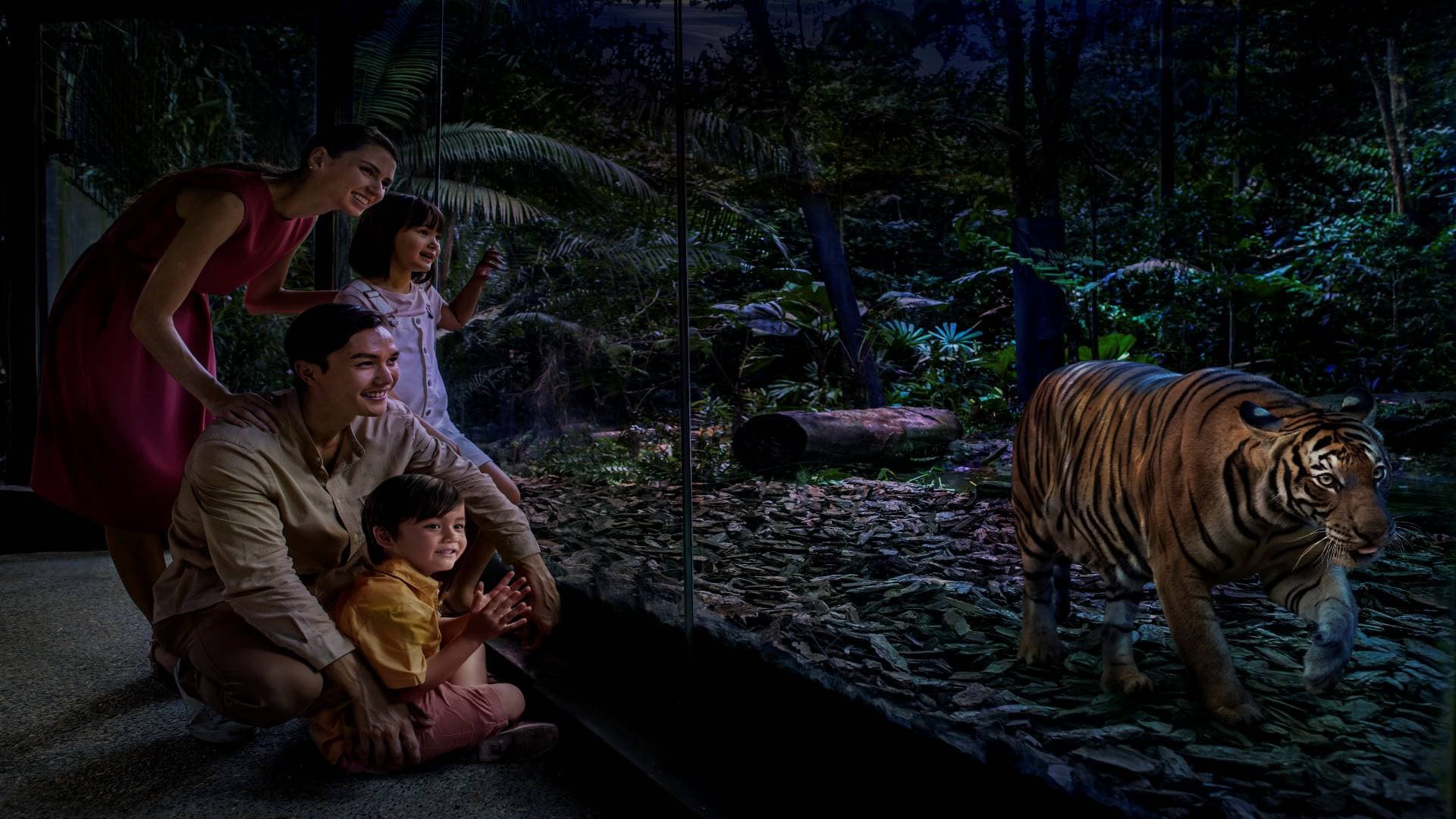 5-in-1 Day Pass: Night Safari + Singapore Zoo + Bird Paradise + River Wonders + Rainforest Adventure - image 16